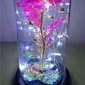LED Glass Dome with Pink and Gold Roses